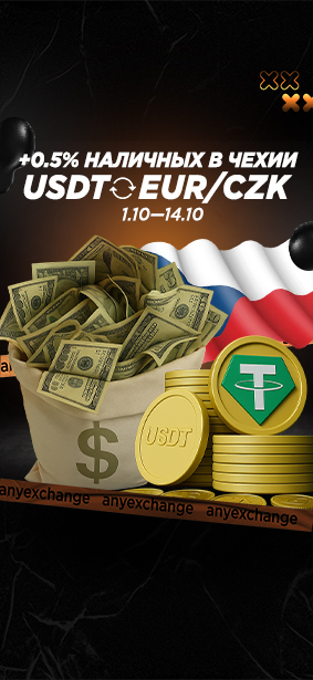 +0.5% наличных к вашему обмену USDT в Чехии